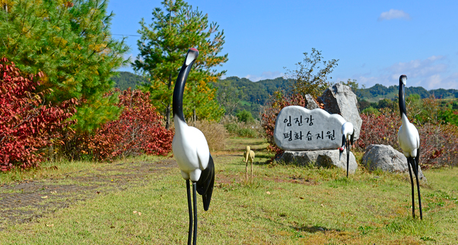 생명을 품은 땅 연천에서 보낸 행복한 가을날