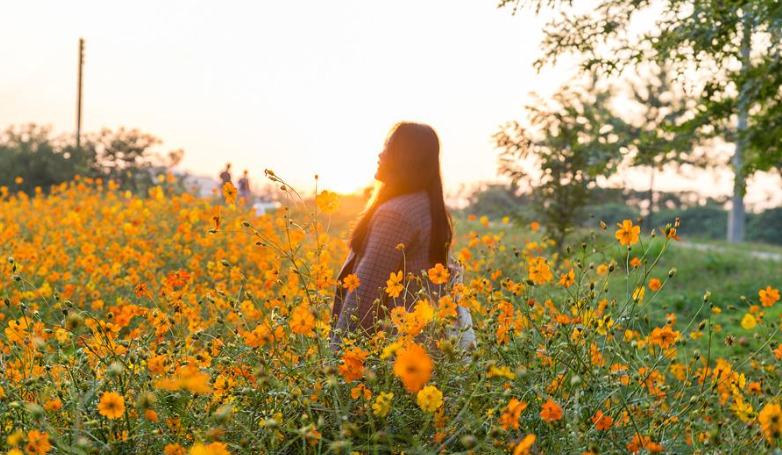 서울 근교 가볍게 콧바람 쐬기 좋은 파주 당일치기 여행