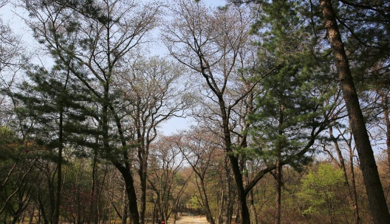 목장에 피어난 푸른 서정 원당목장