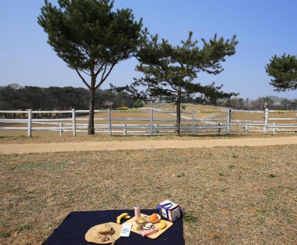 풀빛의 멜로디 고양 원당목장 산책