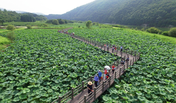 회야댐생태습지 오직 특별한 때만 만날 수 있는 자연의 선물